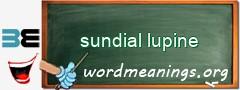 WordMeaning blackboard for sundial lupine